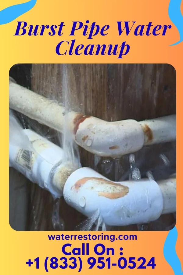 Burst Pipe Water Cleanup in Durbin, WV