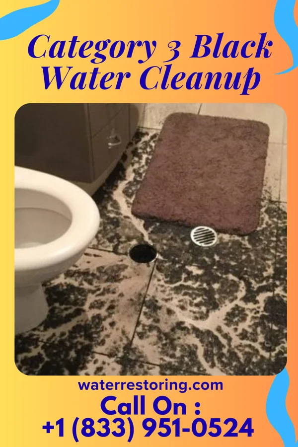 Category 3 Black Water Cleanup in Durbin, WV