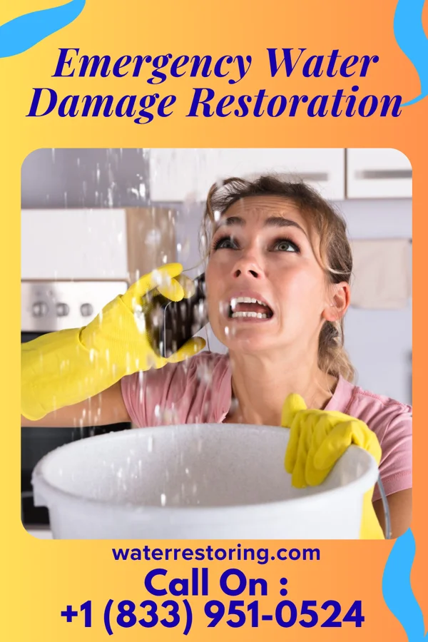 Emergency Water Damage Restoration in Durbin, WV