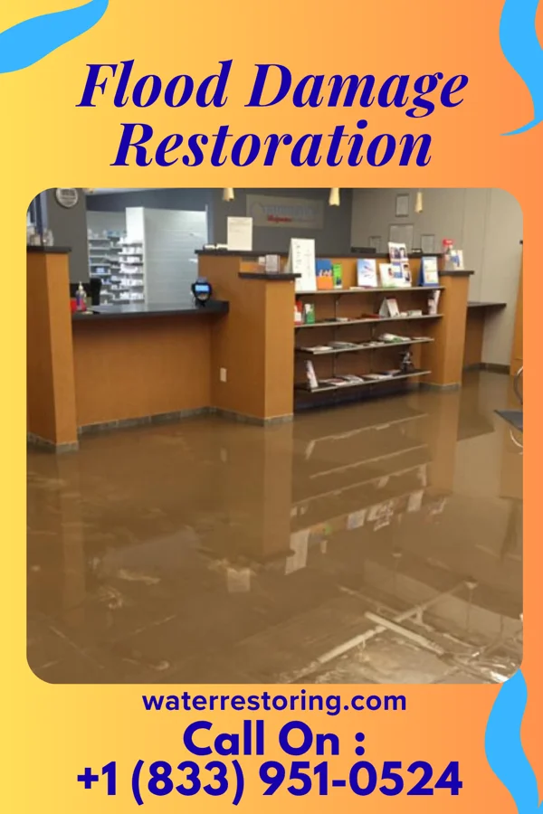 Flood Damage Restoration in Durbin, WV