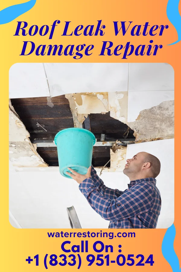 Roof Leak Water Damage Repair in Durbin, WV