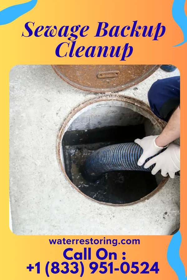 Sewage Backup Cleanup in Durbin, WV