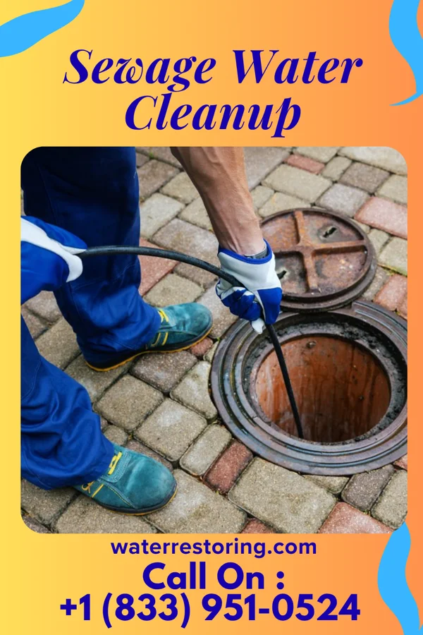 Sewage Water Cleanup in Durbin, WV
