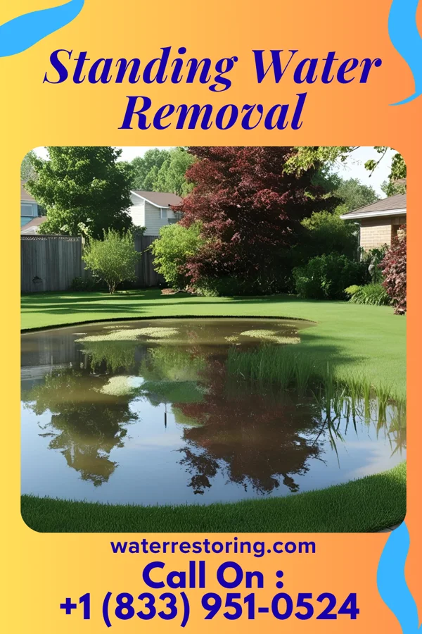 Standing Water Removal in Durbin, WV